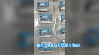 VERBOGEN NEVADA 177230-01-02-05