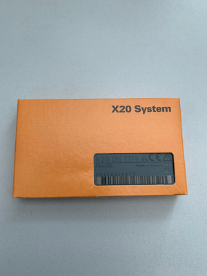 X20DS1319 B&amp;R X20 PLC-SYSTEM 4 Eingabedatenkanäle konfigurierbar als Input oder Ertrag