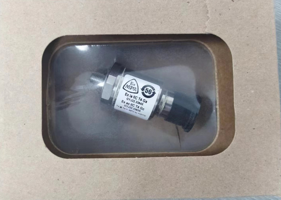 Bently Nevada 330400-01-CN 330400 und 330425 Beschleunigungsumrechner